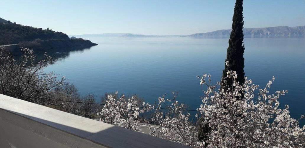 Appartamento Mali delfin Sveti Juraj Esterno foto